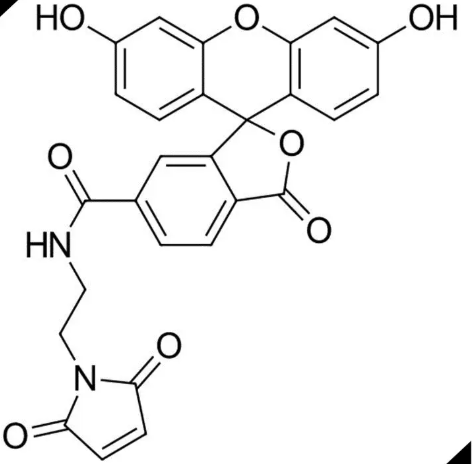 去除未反应的 6-FAM-MAL的方法