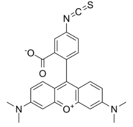 5-TRITC