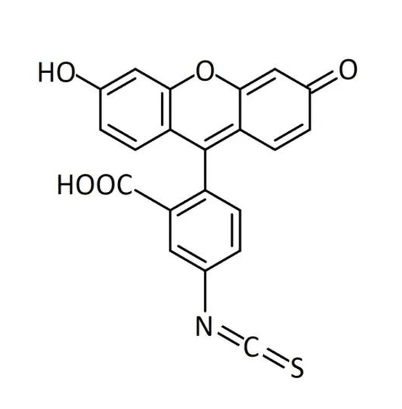 异硫氰酸荧光素-胶原蛋白   FITC-Collagen的结构与特性