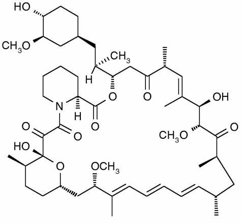 FITC-Rapamycin  FITC-雷帕霉素的结构与特性
