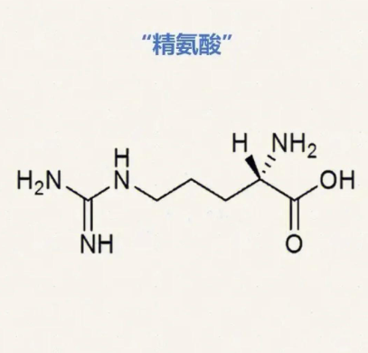 Poly-Arg（30k） 聚精氨酸（分子量 30k）的优缺点
