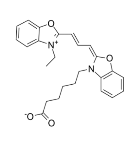 二甲川花菁染料-雷帕霉素  CY2-雷帕霉素的合成与标记原理