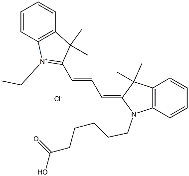 CY3-OVA 的制备工艺对标记效率的影响研究