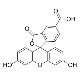 5-FAM标记生物分子的反应条件  