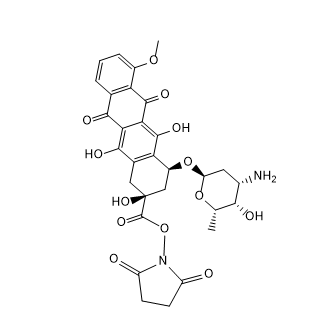 DOX-NHS,阿霉素-活性酯