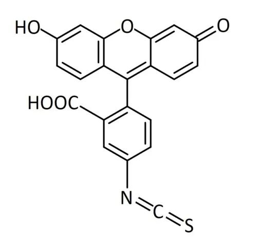 不同条件下FITC荧光稳定性的影响因素分析