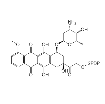 DOX-SPDP,阿霉素-SPDP 偶联物