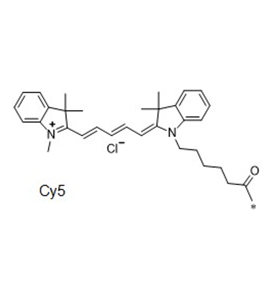 Cy5