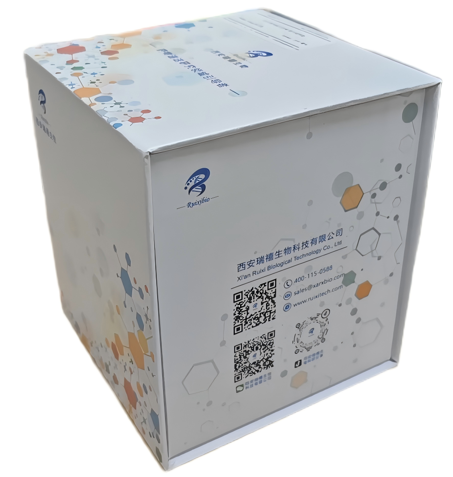 纳米金偶联蛋白试剂盒（15nm-1mg 偶联量）的制备方法