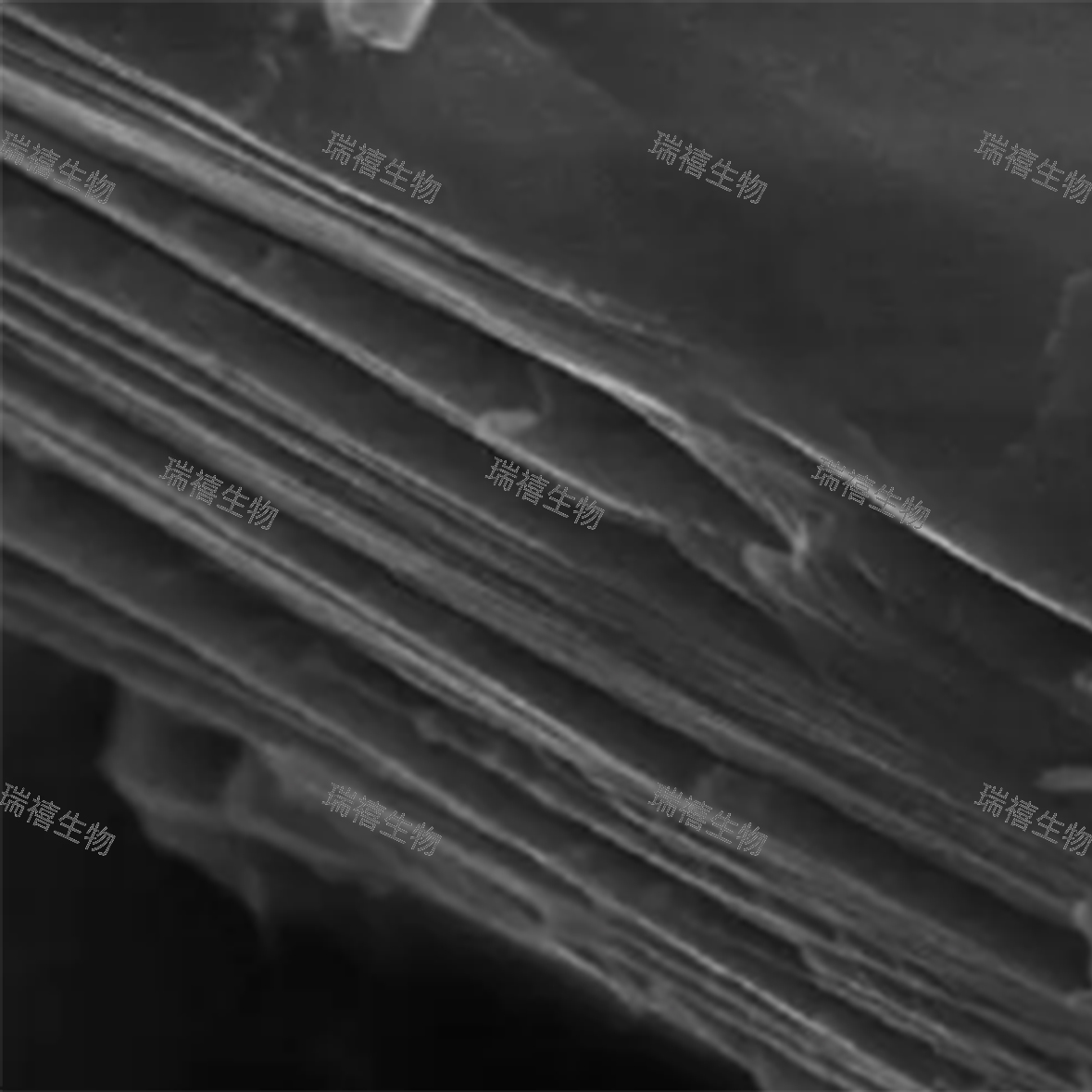 MXene纳米片