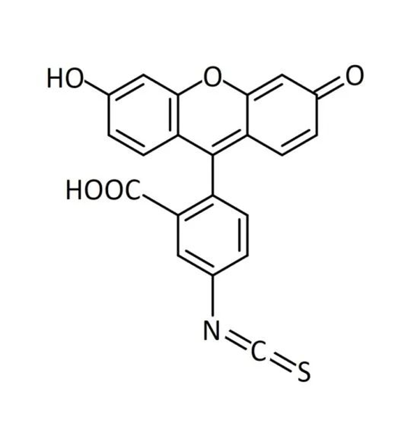 Fluorescein Isothiocyanate  异硫氰酸荧光素  FITC的基本特性