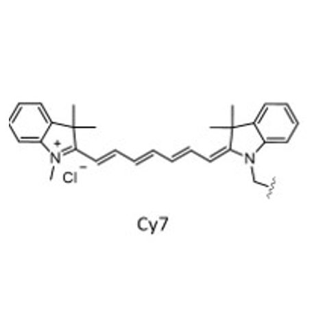 Cy7