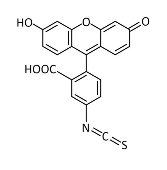 50K 荧光素标记透明质酸（玻尿酸）的应用领域