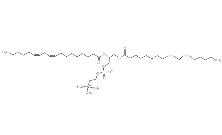 DLinPC 1,2-二亚油酰磷脂酰胆碱 CAS：998-06-1的合成与制备
