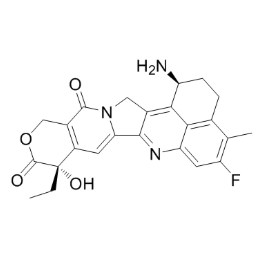 exatecan-BSA,依喜替康-牛血清白蛋白复合物