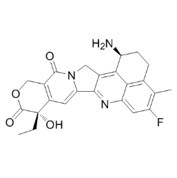 exatecan-OVA,依喜替康-卵清蛋白复合物