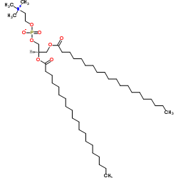 DAraPC 1,2-二花生酰磷脂酰胆碱 CAS：61596-53-0的物理化学性质