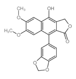判断 Biotin-Diphyllin 是否成功标记到目标分子