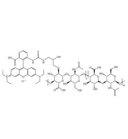 11K 分子量透明质酸-罗丹明 B 偶联物的光学特性