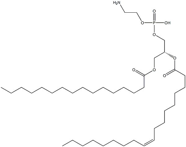 POPE 1-棕榈酰-2-油酰-sn-甘油-3-磷脂酰乙醇胺 CAS：26662-94-2 的相变温度