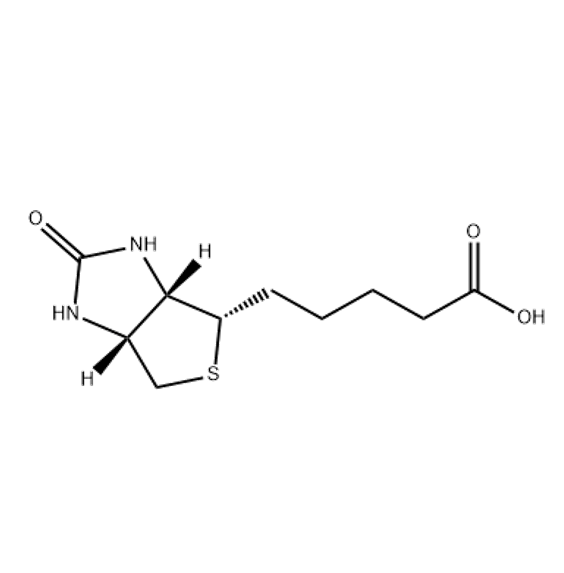生物素修饰透明质酸  HA-Biotin  MW:1200K的生物分子标记和纯化
