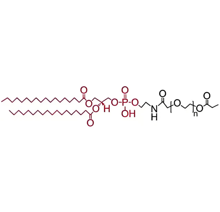 研究DSPE-PEG-Heparin对细胞黏附和增殖行为的影响​