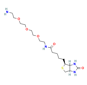 Biotin-PEG3-NH2可以标记的生物分子  