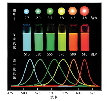 量子点的多色发光特性及其应用