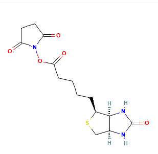 Biotin-NHS 生物素-N-羟基琥珀酰亚胺酯的性能、特点  