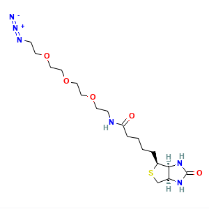 Biotin-PEG3-N3标记蛋白质的具体步骤  