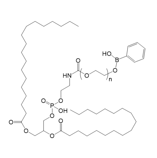 DSPE-PEG-PBA的PEG链长对纳米载体体内循环时间的影响