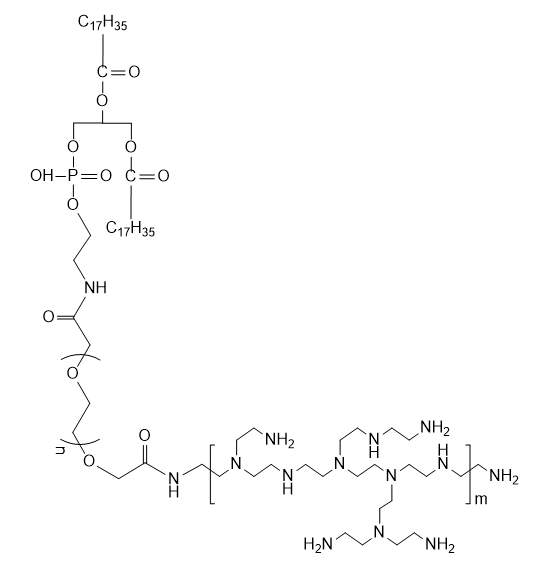 DSPE-PEG-PEI的阳离子特性优化及其与核酸分子的复合效率研究