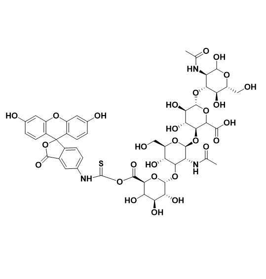 绿色荧光标记透明质酸（分子量 1KDa）  HA-FITC  MW：1K的核心优势