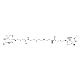 不同分子量的 Biotin-PEG-Biotin 在应用上的区别  
