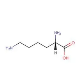 Poly-L-lysine PLL  聚赖氨酸 CAS：25988-63-0的应用