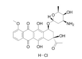 盐酸柔红霉素 Daunorubicin Hydrochloride  CAS:23541-50-6的作用