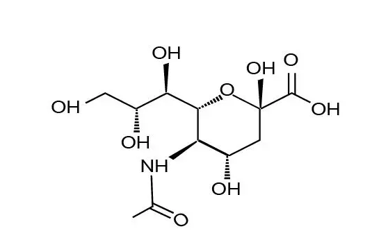 Sialic acid N-乙酰神经氨酸的优势