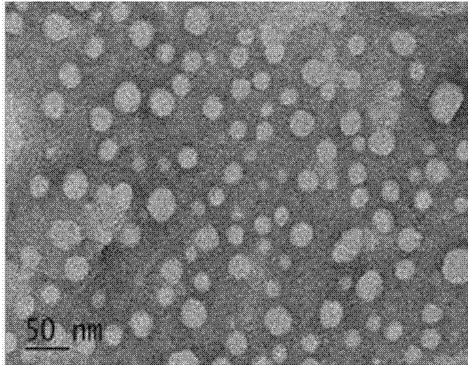 聚乙烯亚胺修饰上转换PEI modified upconversion nanoparticles 的作用