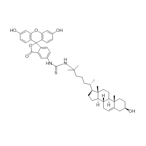 FITC-25-OH-cholesterol,异硫氰酸荧光素-25-羟基胆固醇