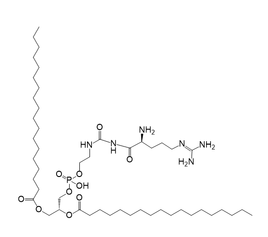 DSPE-arginine,二硬脂酰基磷脂酰乙醇胺-精氨酸