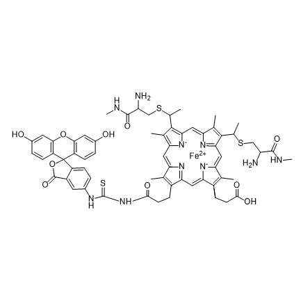 FITC-Cytochrome C,异硫氰酸荧光素-细胞色素 C