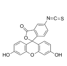 FITC-AD,异硫氰基荧光素标记金刚烷