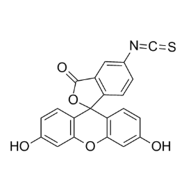 FITC-MnO2,异硫氰酸荧光素标记中空介孔二氧化锰纳米颗粒
