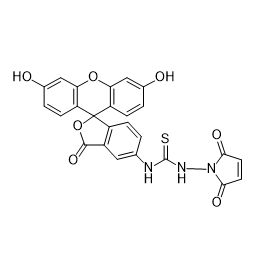 FITC-MAL,异硫氰酸荧光素-马来酰亚胺