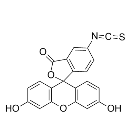 FITC-Nine peptide-1,异硫氰酸荧光素-九肽-1