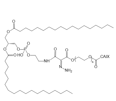 DSPE-Hyd-PEG-CAIX,二硬脂酰基磷脂酰乙醇胺-腙键-聚乙二醇-碳酸酐酶 IX 靶向环肽