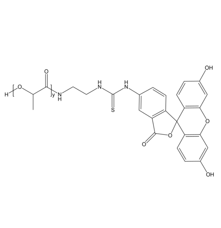 基于 FITC - PLA 微球的细胞摄取机制探究