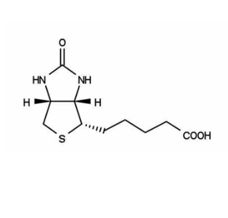 二棕榈酰基磷脂酰乙醇胺-聚乙二醇-生物素的PEG 链的活化、生物素的连接