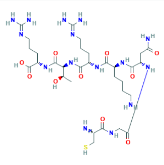 tLyP-1 peptide  tLyP-1 肽（ CGNKRTR）面临的一些挑战 