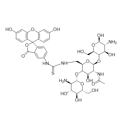 FITC-CarboxymethylChitosan,异硫氰酸荧光素标记羧甲基壳聚糖